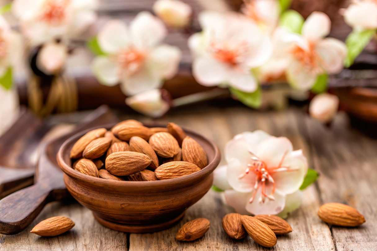Almonds for Weight Loss: Nuts that Shed Pounds!